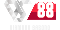 ds88 logo